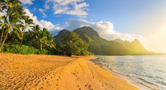 trips to hawaii from uk