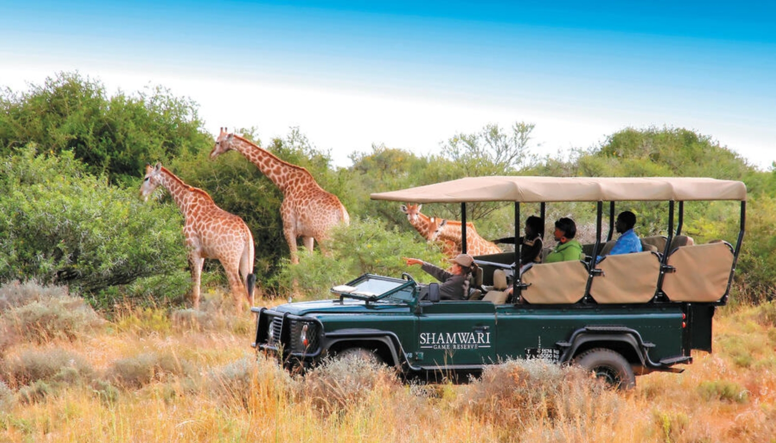 saga safari holidays south africa