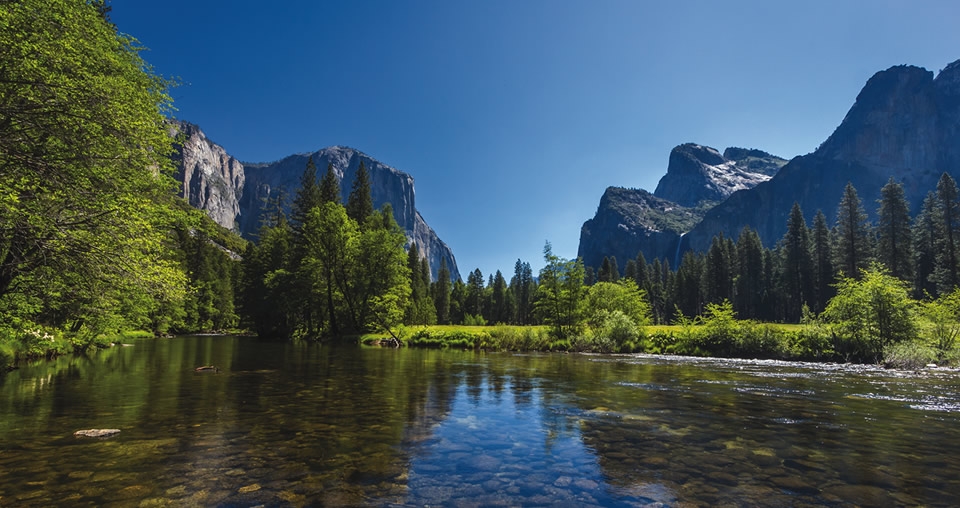 Yosemite and Giant Sequoias Day Trip