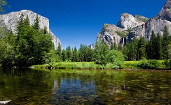 Yosemite and Giant Sequoias Day Trip - Yosemite National Park, California