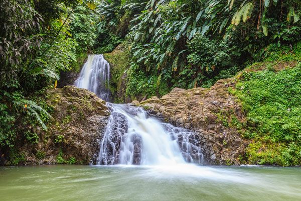 Concord Falls in Grenada surrounded by forest