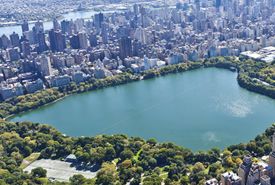 The best things to see and do in Central Park